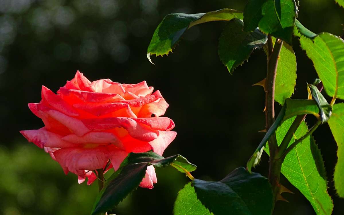 � ��������� ���������. ����� �������� �������� �� PhotoGeek.ru #����� #�����