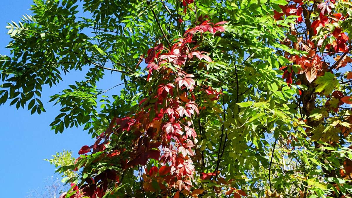 �������� ����� ����� �������� �������� �� PhotoGeek.ru #������ ��� �������