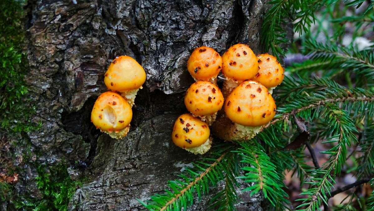 ���������� ����� �������� �������� �� PhotoGeek.ru #�����