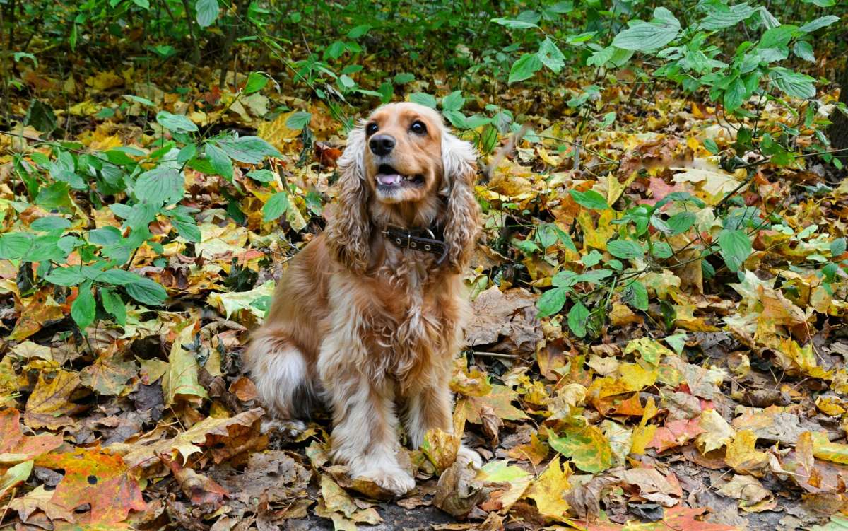 ����������� �� ����� �������� �������� �� PhotoGeek.ru #����� #�������� ���