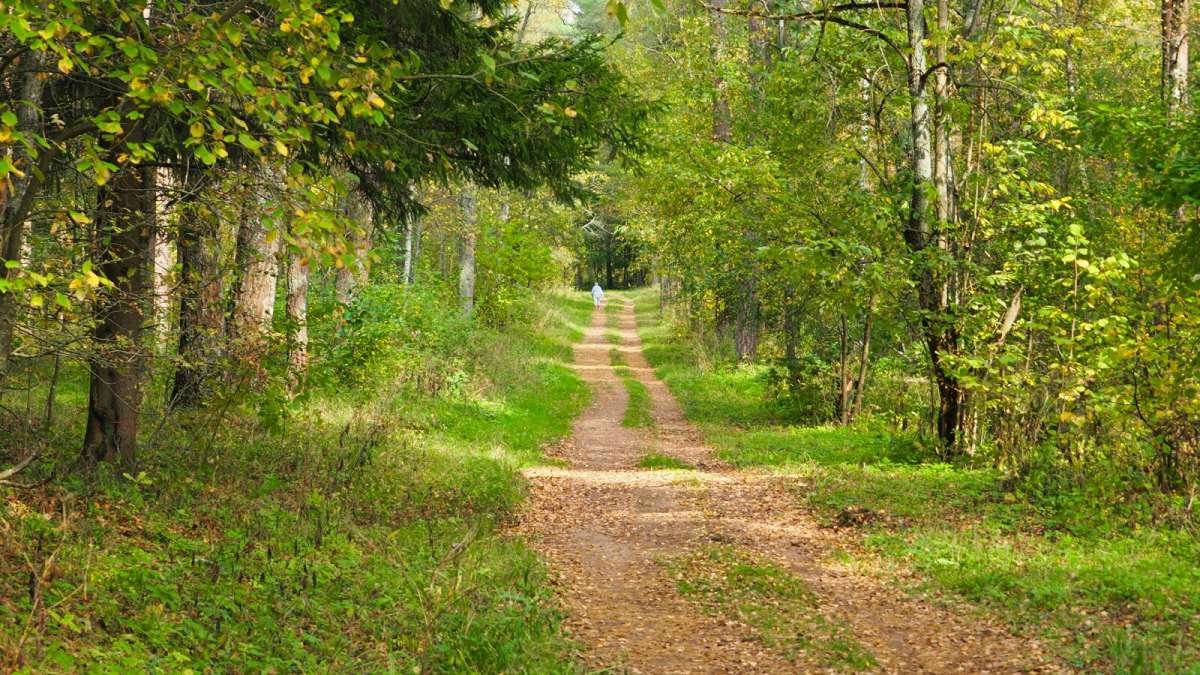 ���������� �����. ����� �������� �������� �� PhotoGeek.ru #������ ��� �������