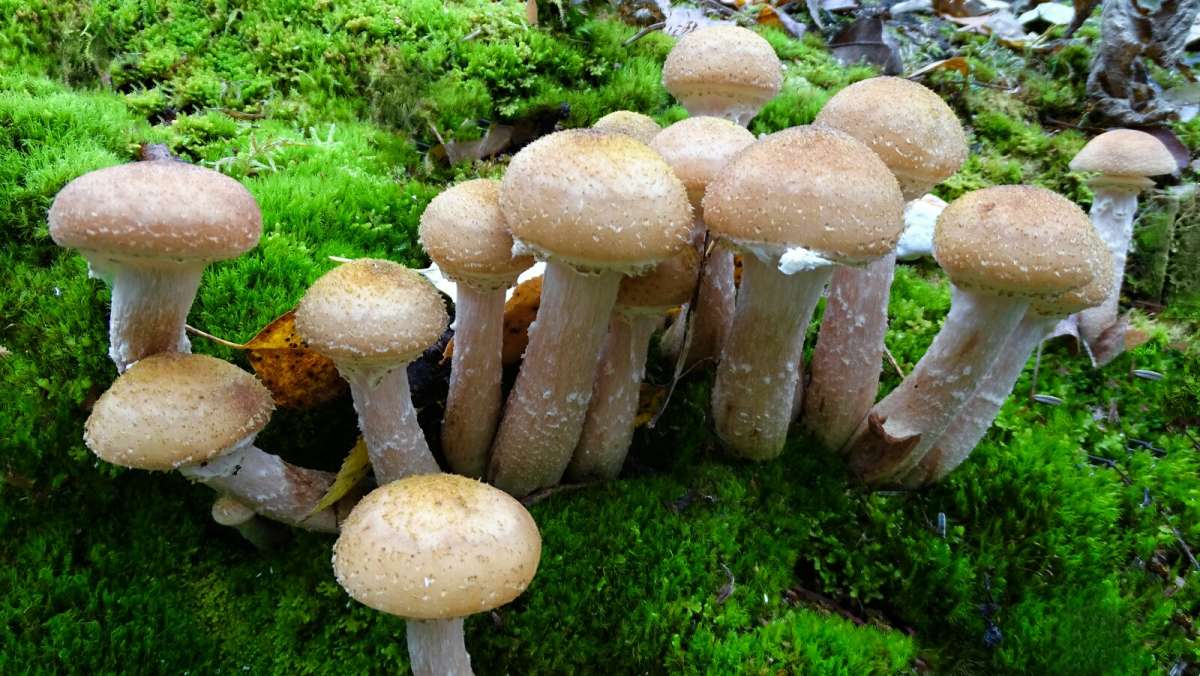 ����� ���� �� ������ �����. ����� �������� �������� �� PhotoGeek.ru #����� #������ ��� �������