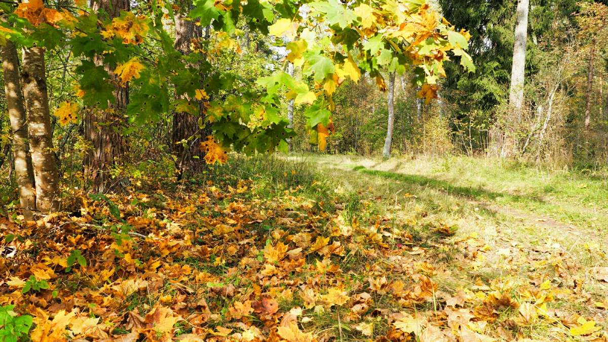 �������� ������� ����� ����� �������� �������� �� PhotoGeek.ru #������ ��� �������