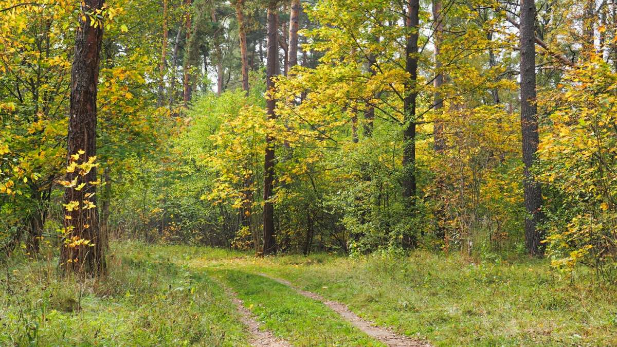 ������� ����� �������� �������� �� PhotoGeek.ru #������ ��� �������