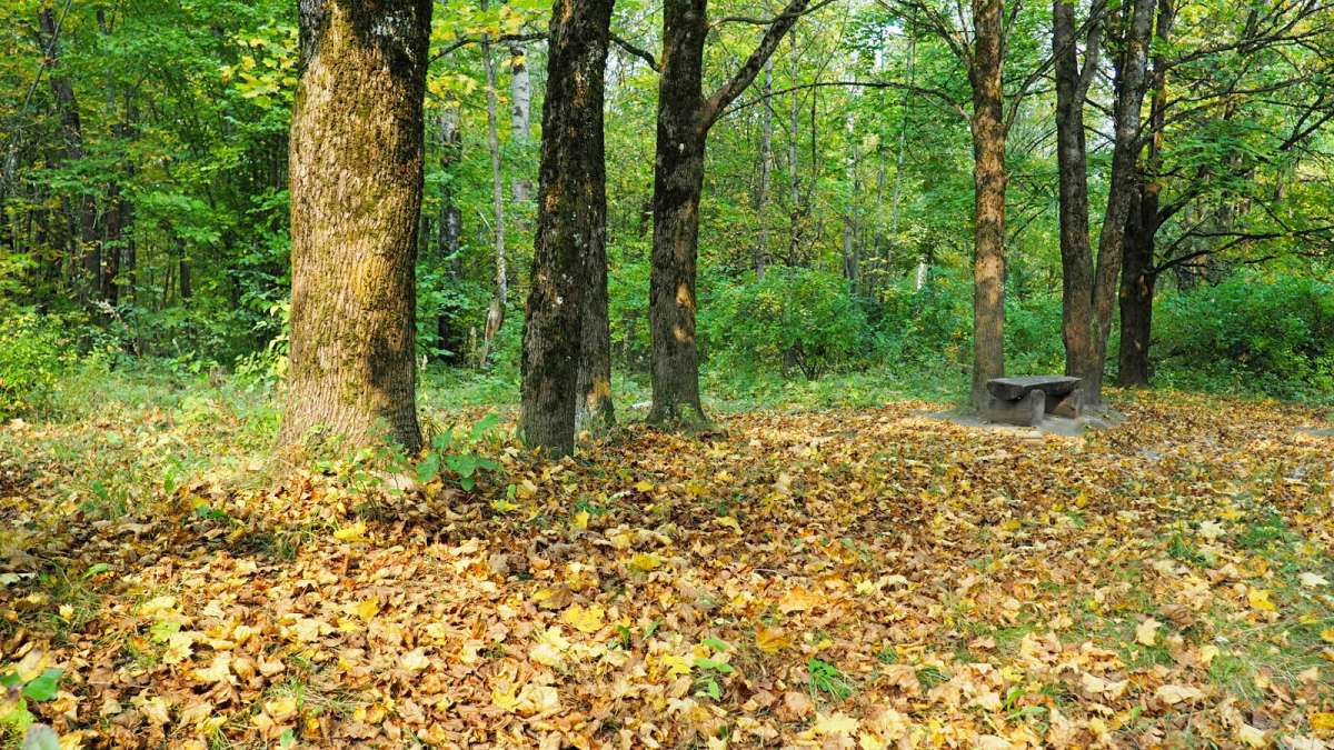 ������� � ��������� ����� ����� �������� �������� �� PhotoGeek.ru #����� #������ ��� �������