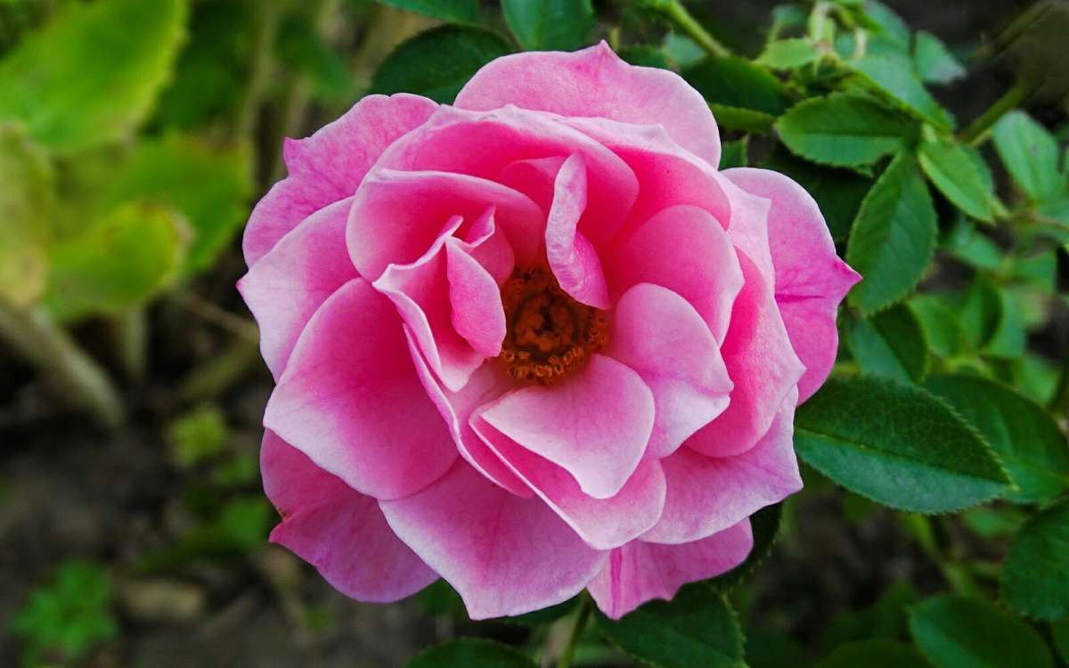 ��������� ����� ����� �������� �������� �� PhotoGeek.ru #����� #�����