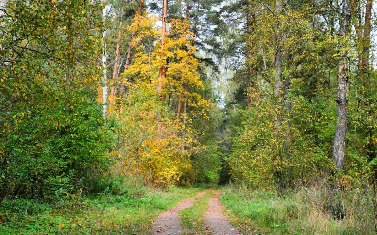 ������� ��� ����� �������� �������� �� PhotoGeek.ru #������ ��� �������