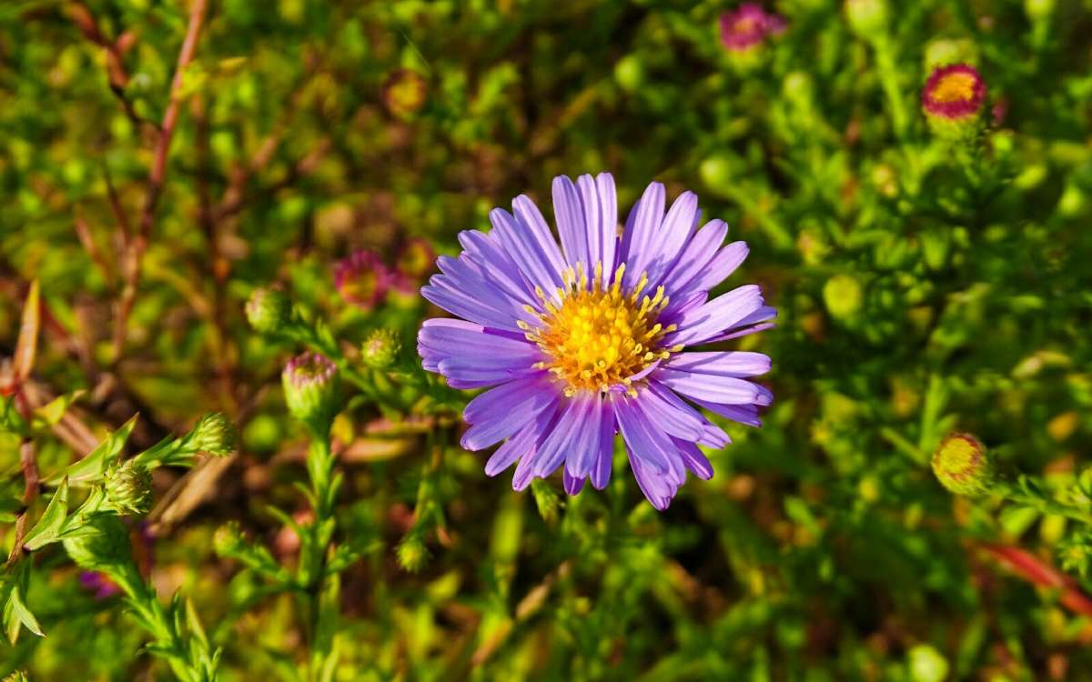 � ���� � ���� ����! ����� �������� �������� �� PhotoGeek.ru #����� #�����