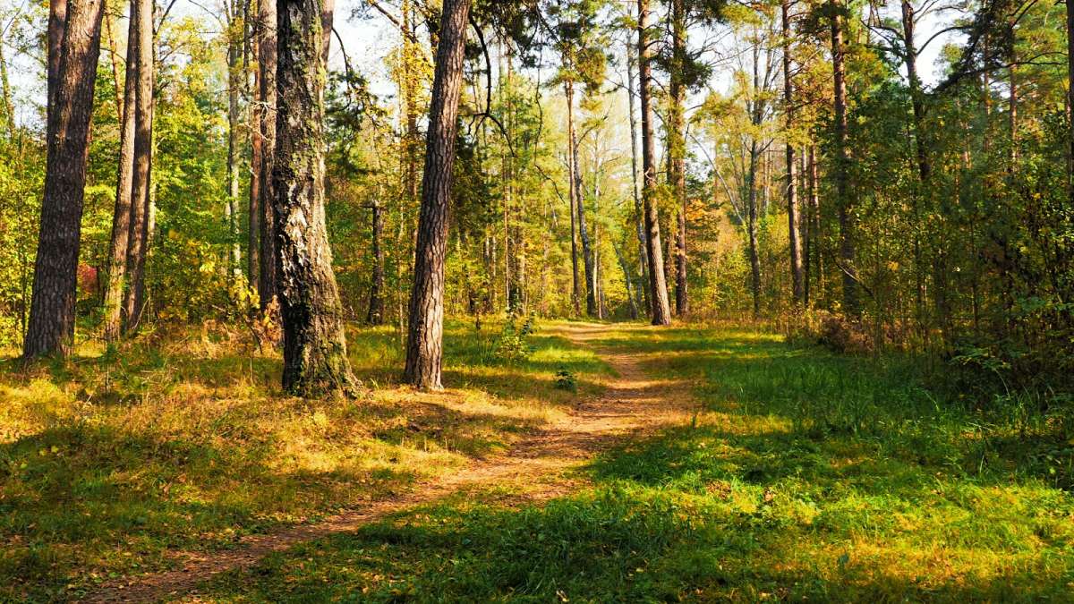 ������� ���������. ����� �������� �������� �� PhotoGeek.ru #������ ��� �������