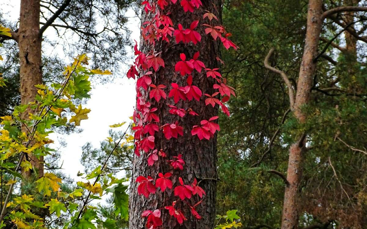 �������� ��� ������� ��������. ����� �������� �������� �� PhotoGeek.ru #������ ��� �������