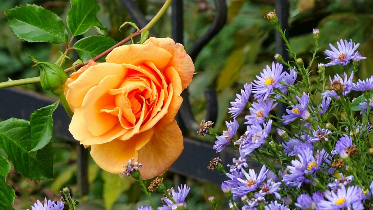 ��������� ����� ����� �������� �������� �� PhotoGeek.ru #����� #�����