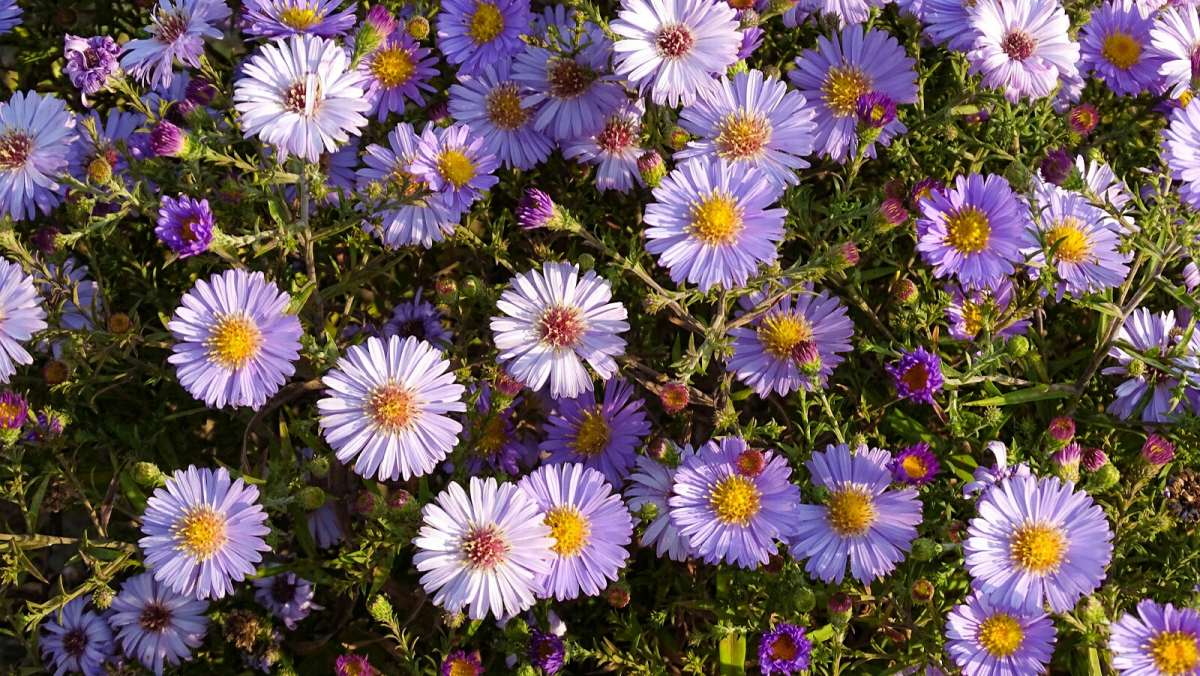 ��������� ���� �������� ����� �������� �������� �� PhotoGeek.ru #����� #����� #������ ��� �������