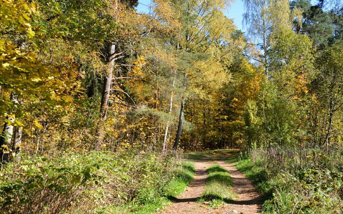 ������� ���� ����� �������� �������� �� PhotoGeek.ru #������ ��� �������