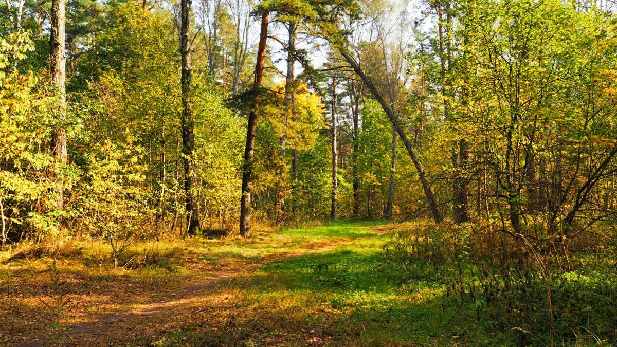 ������� ����� ���������� (�����) ����� �������� �������� �� PhotoGeek.ru #������ ��� �������