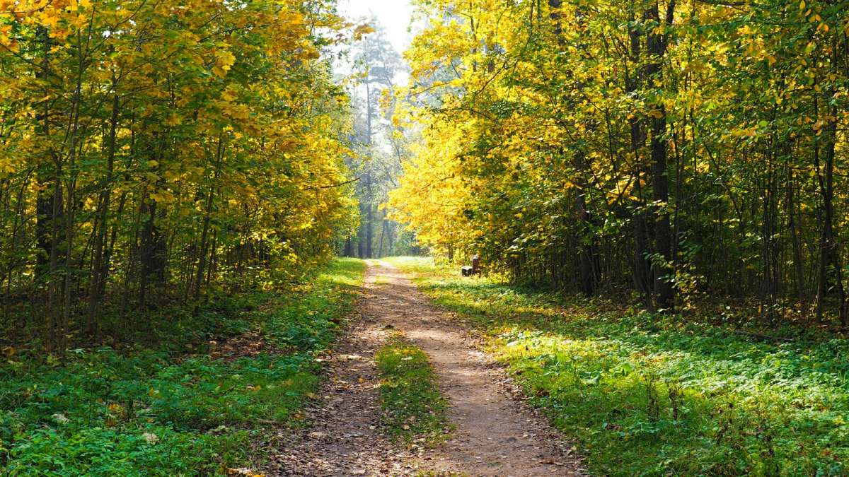 ������� ����� ���������� (�����) ����� �������� �������� �� PhotoGeek.ru #������ ��� �������