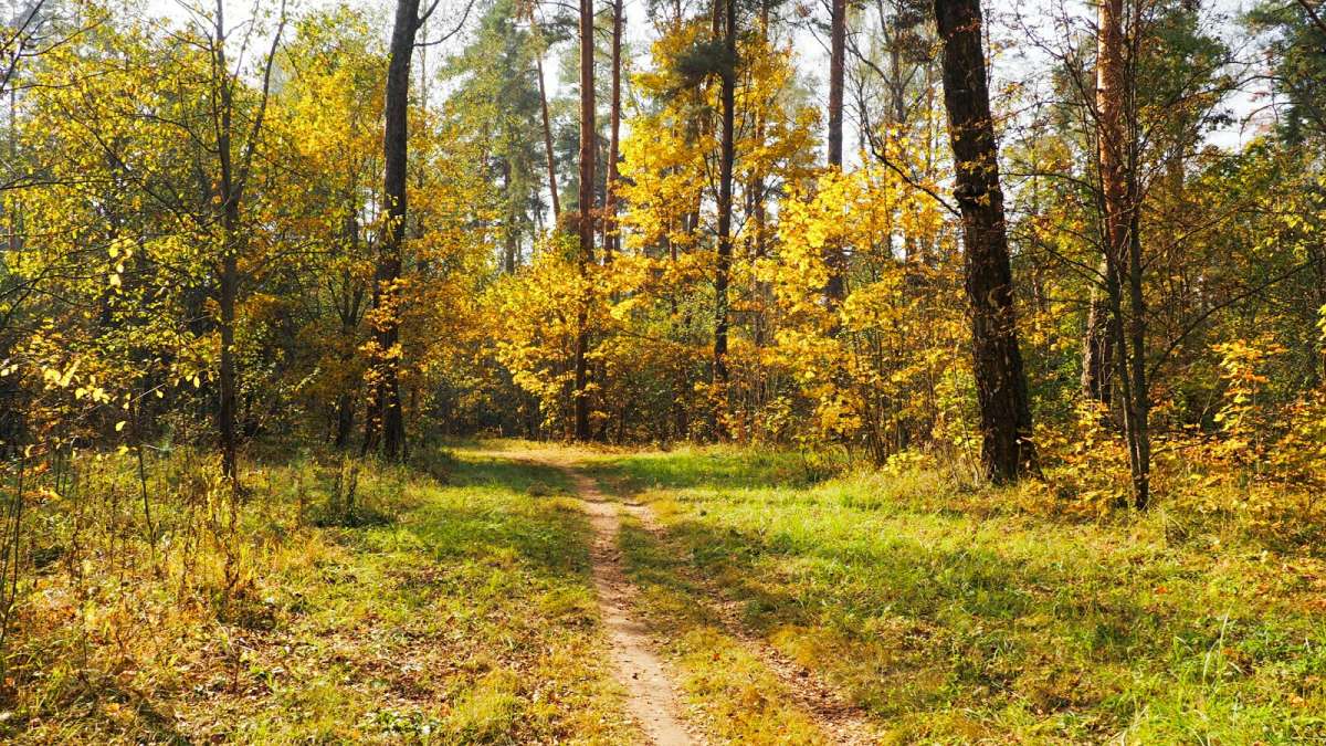 ������� ����� ���������� (�����) ����� �������� �������� �� PhotoGeek.ru #������ ��� �������