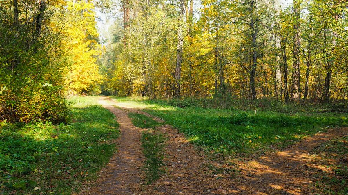 ������� ����� ���������� (�����) ����� �������� �������� �� PhotoGeek.ru #������ ��� �������