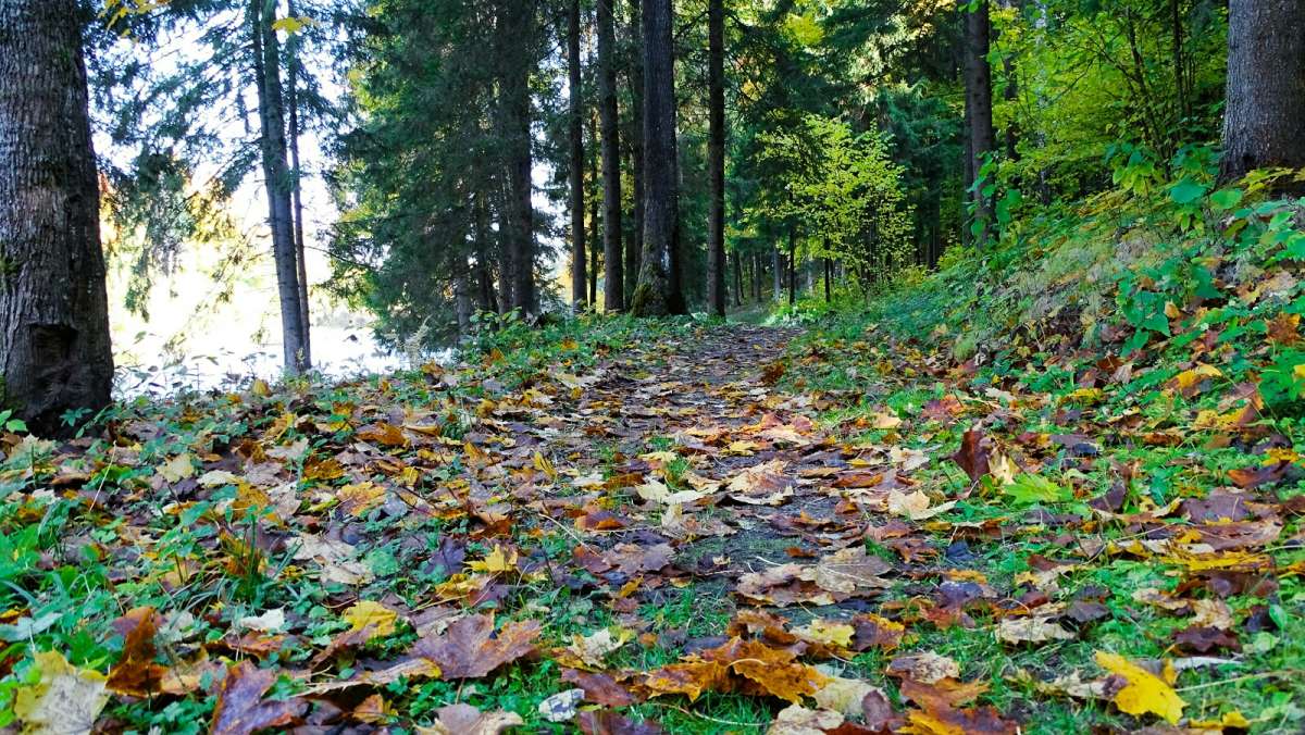 �������� ������ ������ ������ ��������. ����� �������� �������� �� PhotoGeek.ru #������ ��� �������