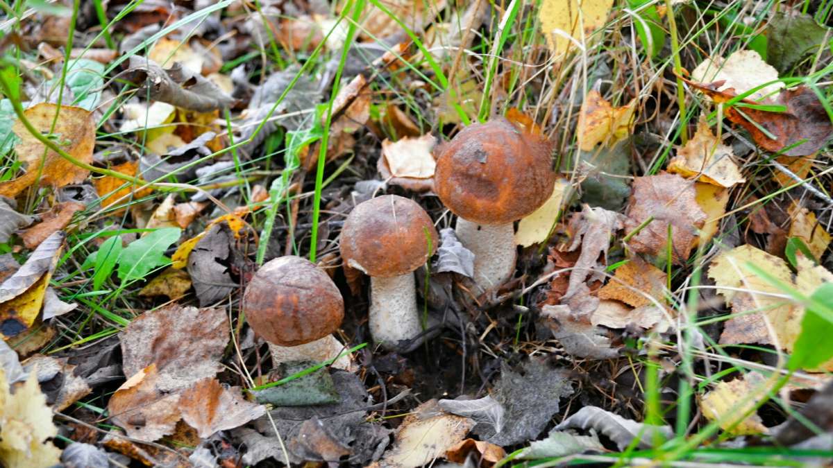 ����� �� �������. ����� �������� �������� �� PhotoGeek.ru #����� #������ ��� �������