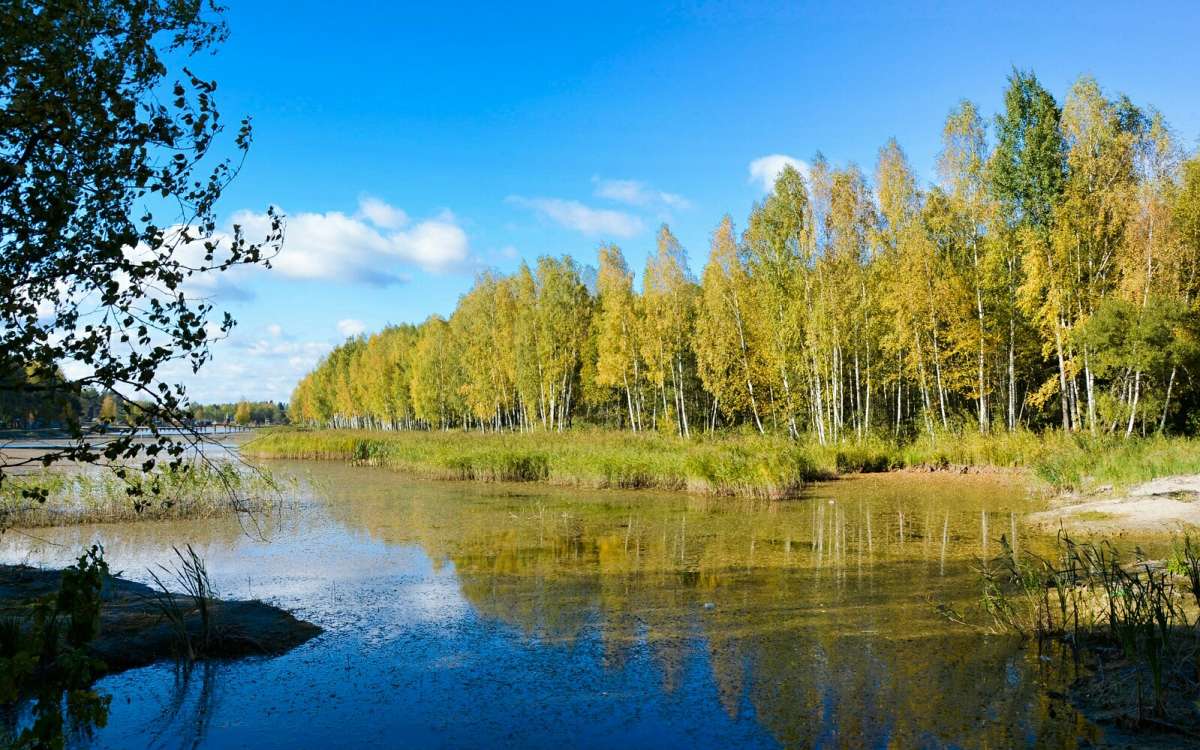 ������ ������� ����� �������� �������� �� PhotoGeek.ru #������ ��� �������