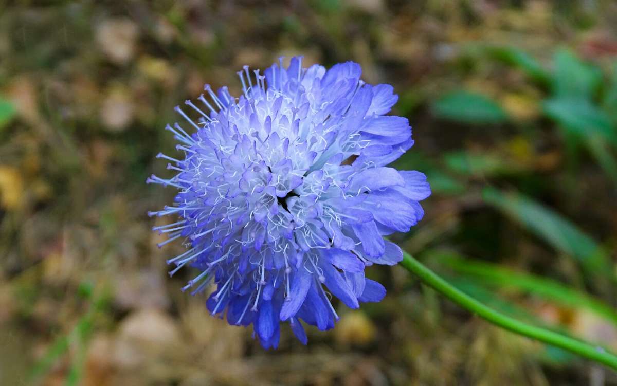 ������ ����� � ������� ����� �������� �������� �� PhotoGeek.ru #����� #������ ��� �������