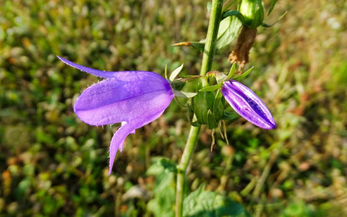 � ������� ����������� ������ ����� �������� �������� �� PhotoGeek.ru #����� #������ ��� �������