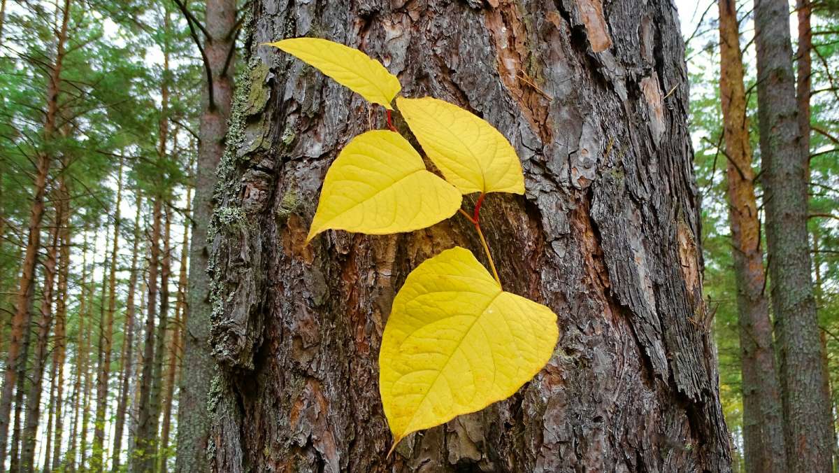 ����� �������� �����. ����� �������� �������� �� PhotoGeek.ru #����� #������ ��� �������