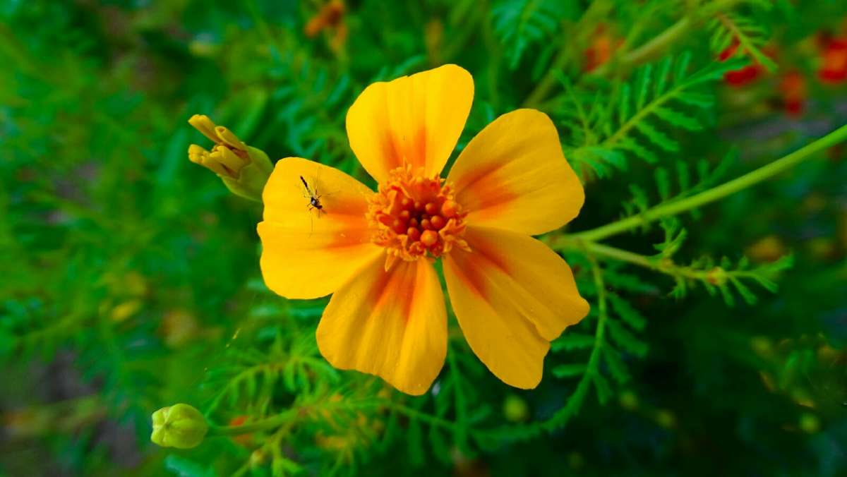 ����� �� ������ � �������. ����� �������� �������� �� PhotoGeek.ru #����� #�����