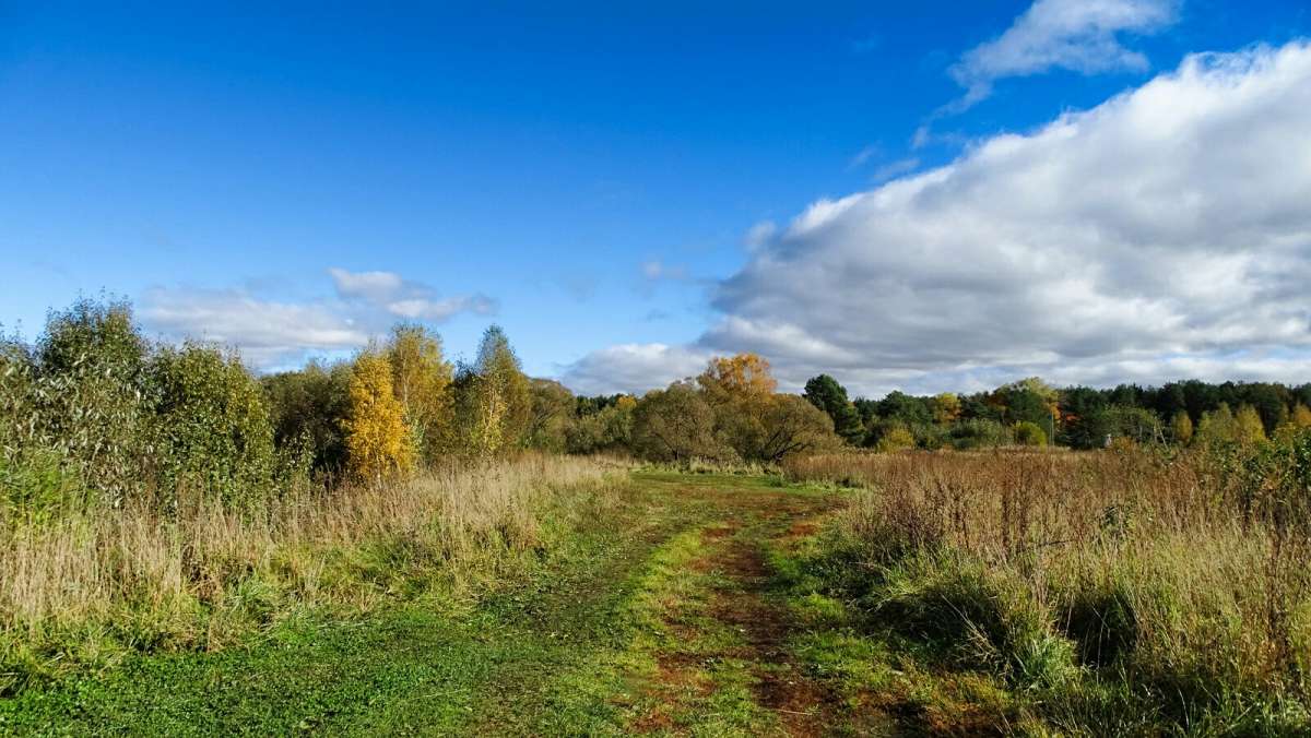 ����� ������. ����� �������� �������� �� PhotoGeek.ru #������ ��� �������