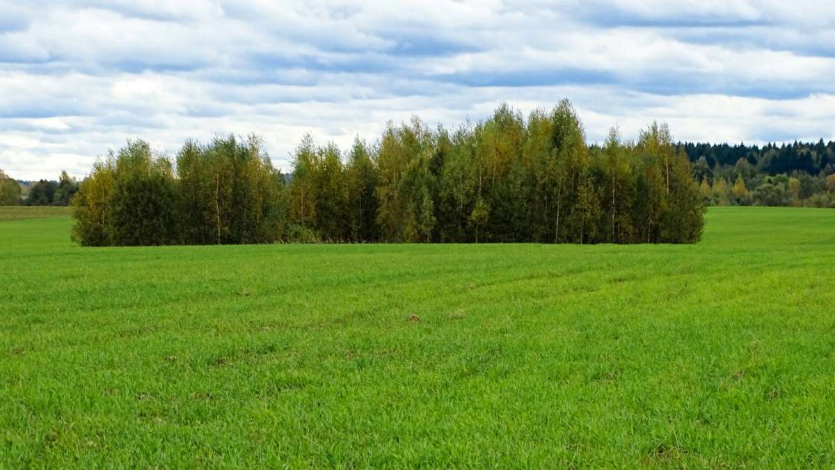 �������� ������ � ������ ����. ����� �������� �������� �� PhotoGeek.ru #������ ��� �������