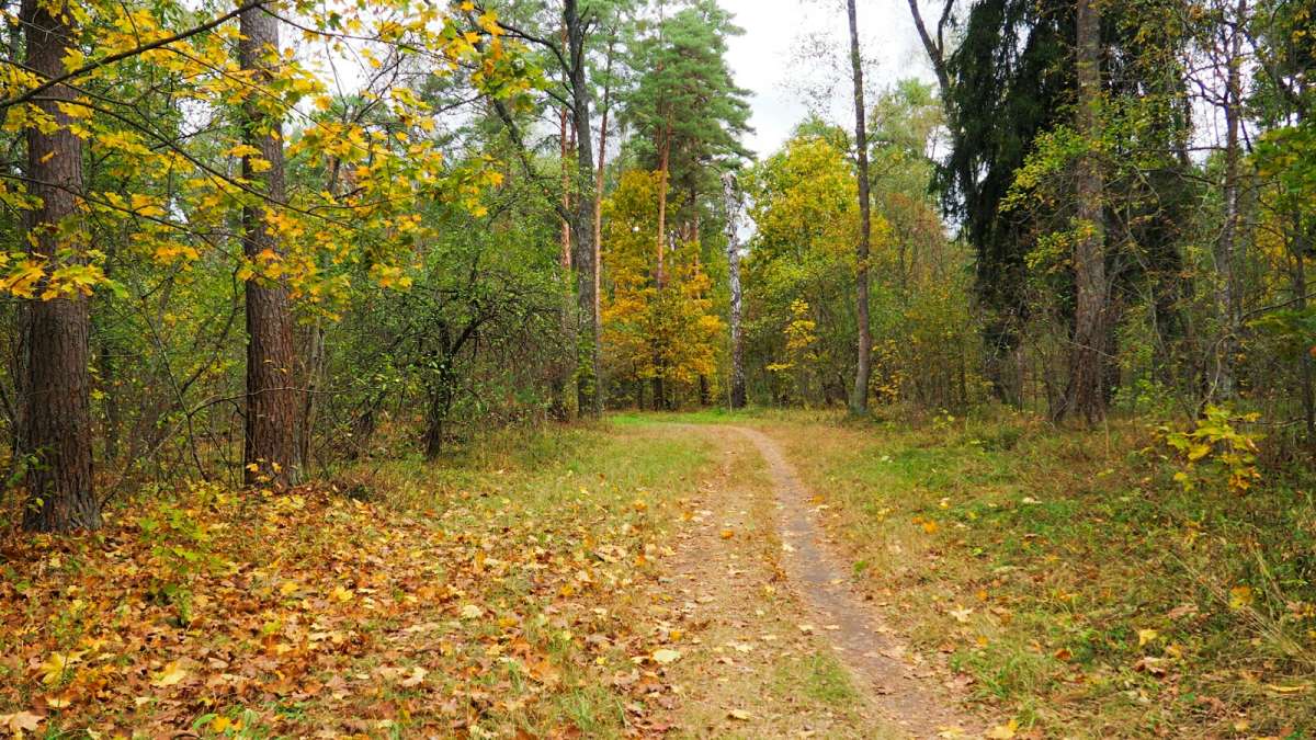 ������� ���. ����� �������� �������� �� PhotoGeek.ru #������ ��� �������