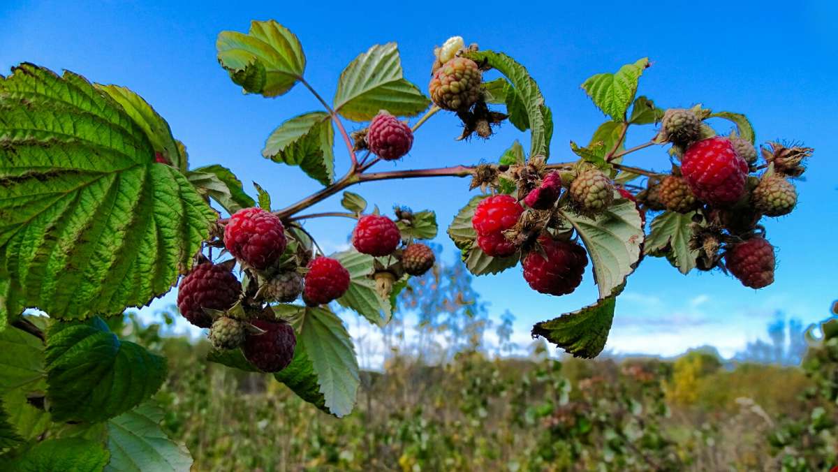 ����� ������ � ������� ����� �������� �������� �� PhotoGeek.ru #����� #������ ��� �������