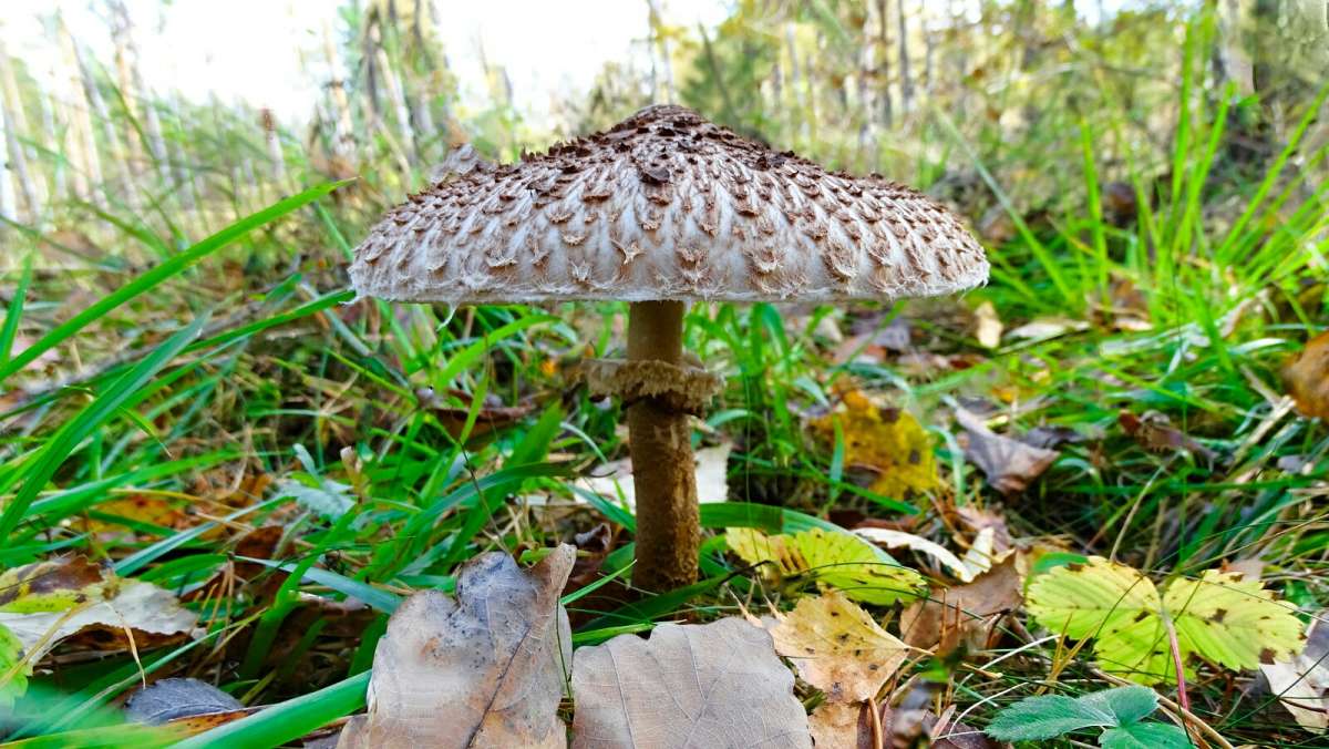 ���� - ������ ����� �������� �������� �� PhotoGeek.ru #����� #������ ��� �������