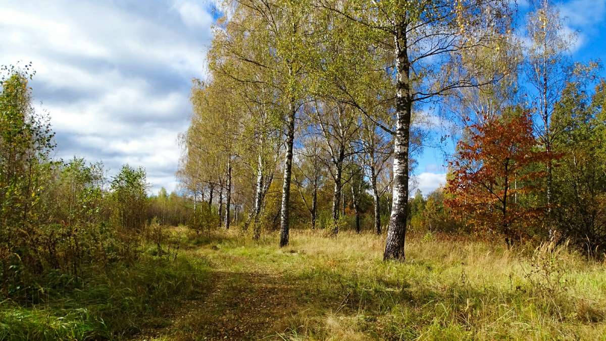 ������� ���� ����� �������� �������� �� PhotoGeek.ru #������ ��� �������