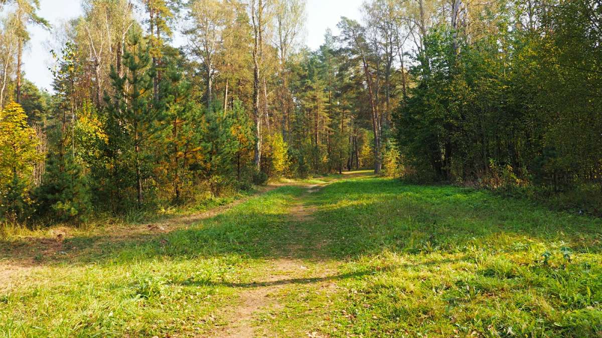 ��� ����� ����� �������� �������� �� PhotoGeek.ru #������ ��� �������