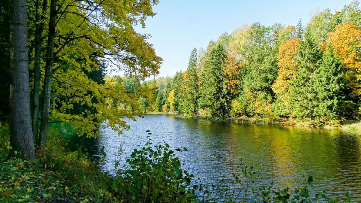 ��� ���� ����� �������� �������� �� PhotoGeek.ru #������ ��� �������