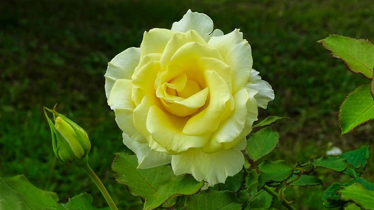 ����� �� ��������� �������. ����� �������� �������� �� PhotoGeek.ru #����� #�����