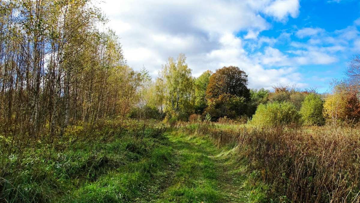 ������� ����. ����� �������� �������� �� PhotoGeek.ru #������ ��� �������