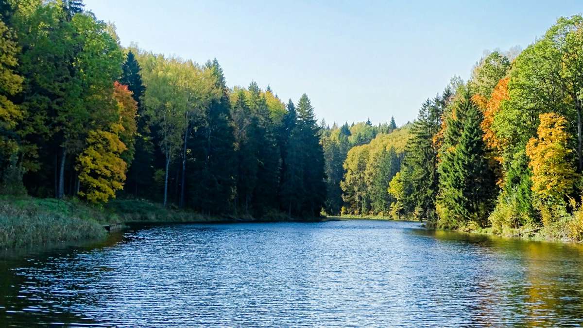 ��� ���� ����� �������� �������� �� PhotoGeek.ru #������ ��� �������