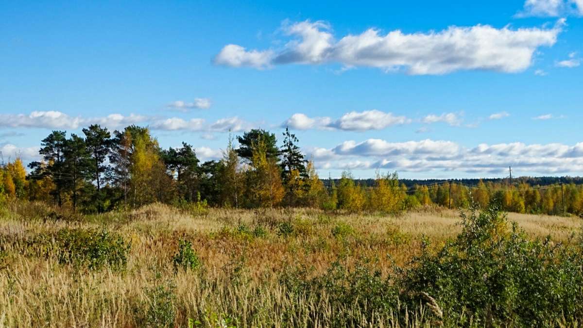 ������� ������ ����� �������� �������� �� PhotoGeek.ru #������ ��� �������