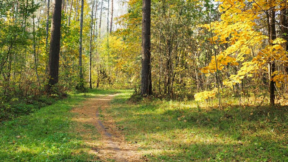 � ������� ����. ����� �������� �������� �� PhotoGeek.ru #������ ��� �������