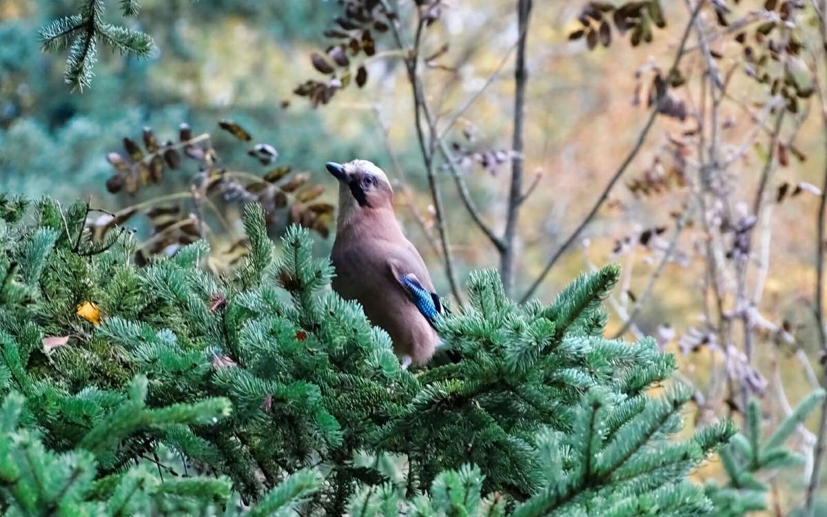 ����� �� ���. ����� �������� �������� �� PhotoGeek.ru #����� #�������� ���