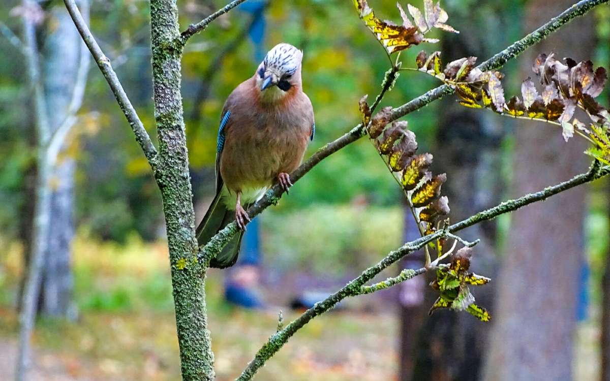 ���������� ����� ����� �������� �������� �� PhotoGeek.ru #����� #�������� ���