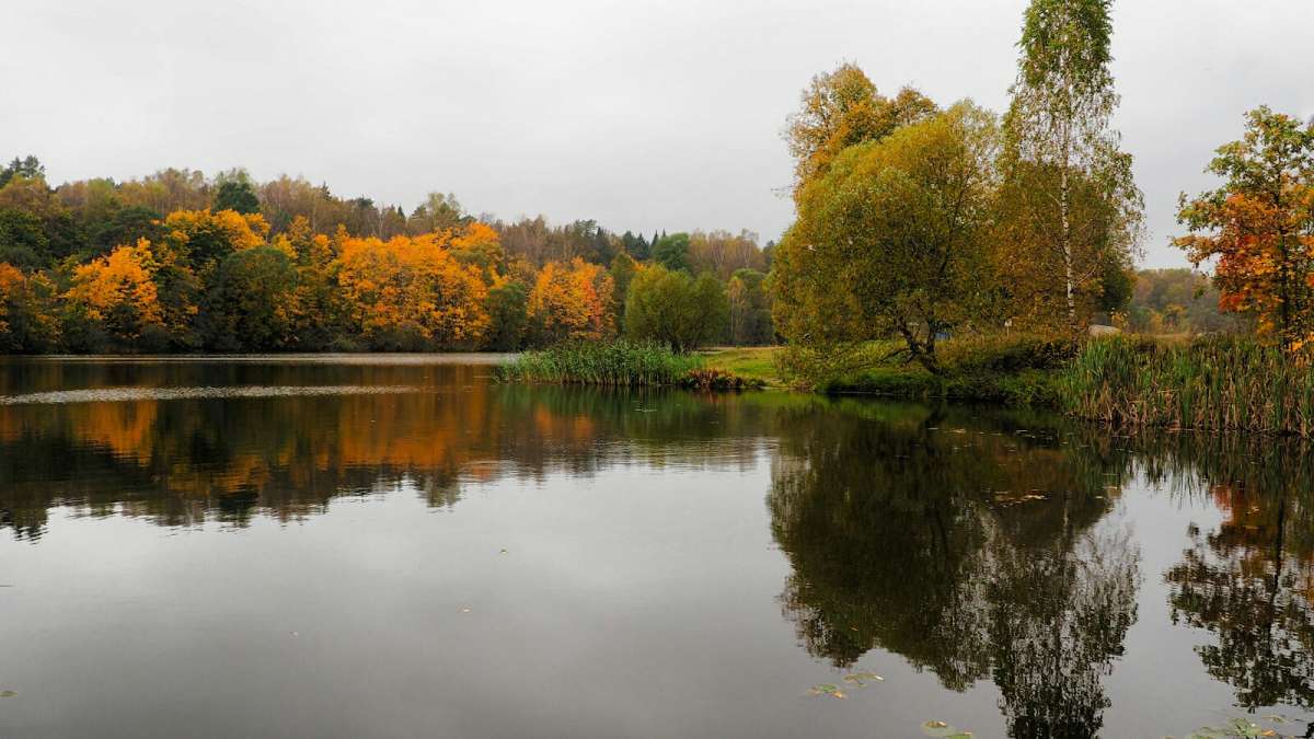 ��������� ���� ������� ����� �������� �������� �� PhotoGeek.ru #������ ��� �������