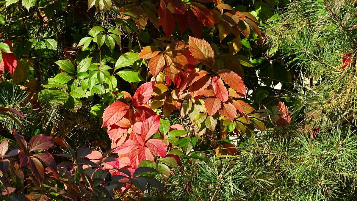 �������� ������� ����� �������� �������� �� PhotoGeek.ru #����� #������ ��� �������