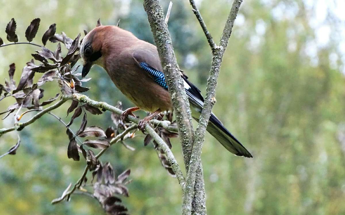 ����� ����� �������� �������� �� PhotoGeek.ru #����� #�������� ���