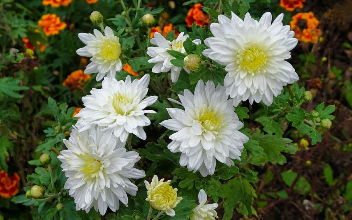 ���������� ����� �������� �������� �� PhotoGeek.ru #����� #�����