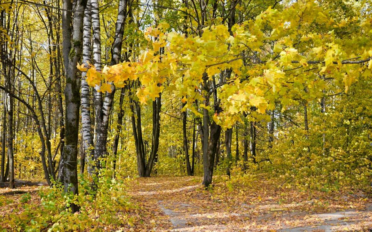 ������� ���� ����� �������� �������� �� PhotoGeek.ru #����� #������ ��� �������