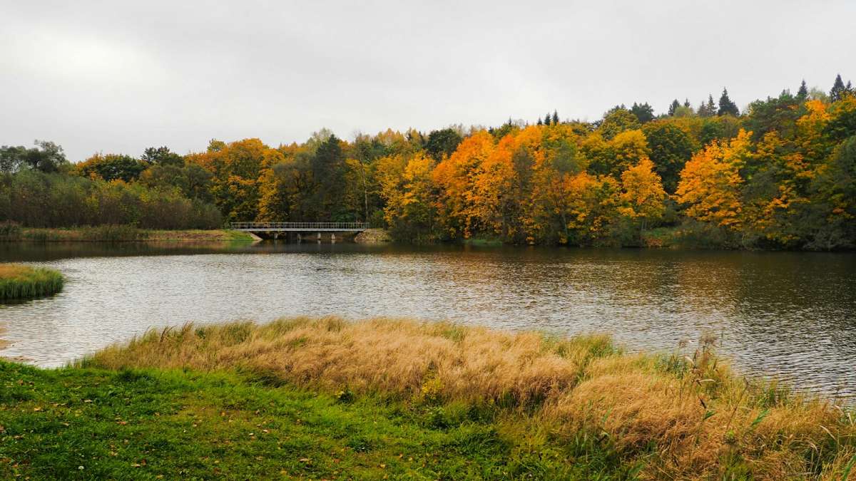 ������� ���� ����� �������� �������� �� PhotoGeek.ru #������ ��� �������