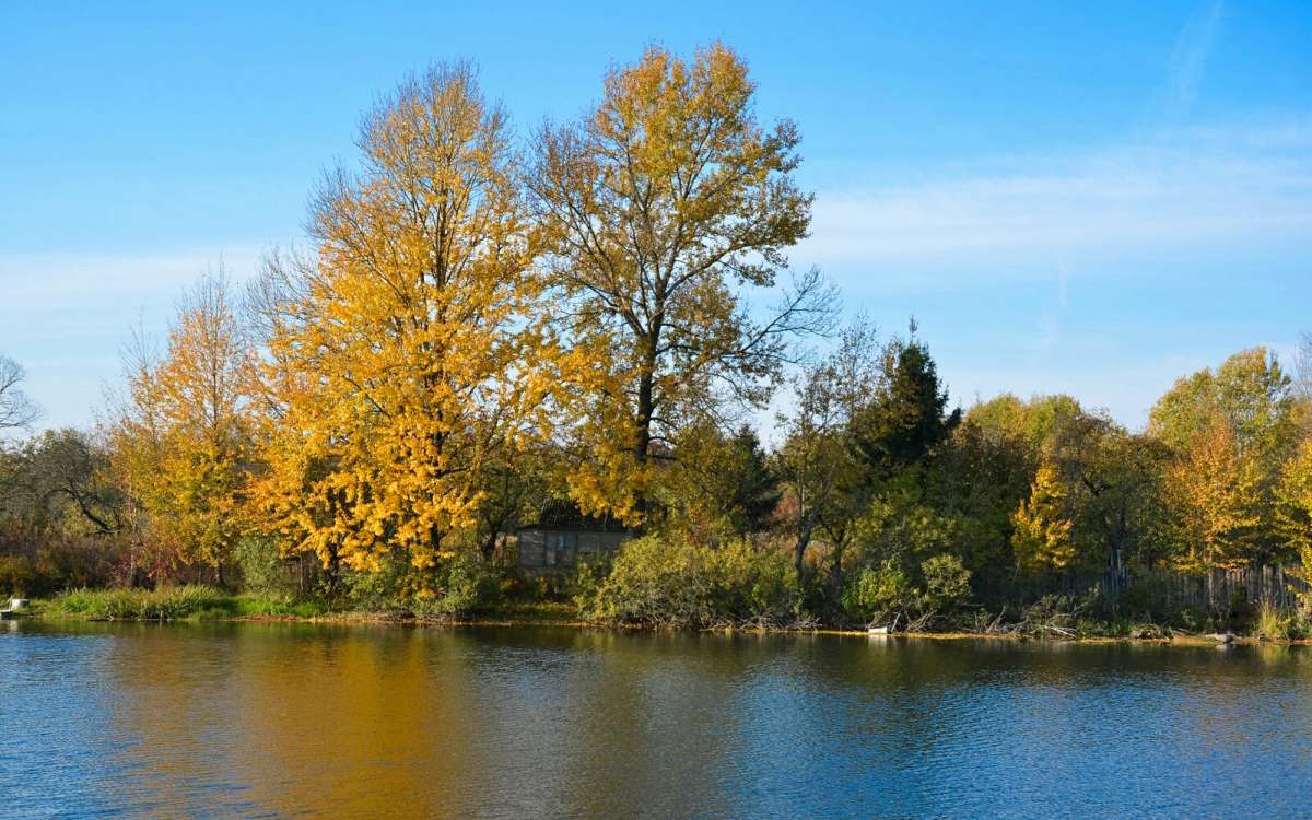 ����� � ������� ����� �������� �������� �� PhotoGeek.ru #������ ��� �������